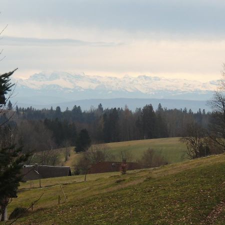 Haus Ingeborg Dachsberg im Schwarzwald Exterior foto