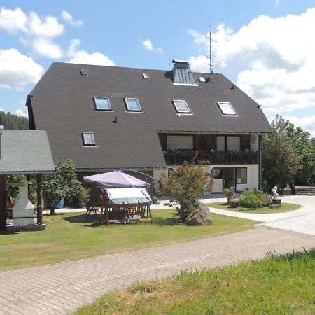 Haus Ingeborg Dachsberg im Schwarzwald Exterior foto