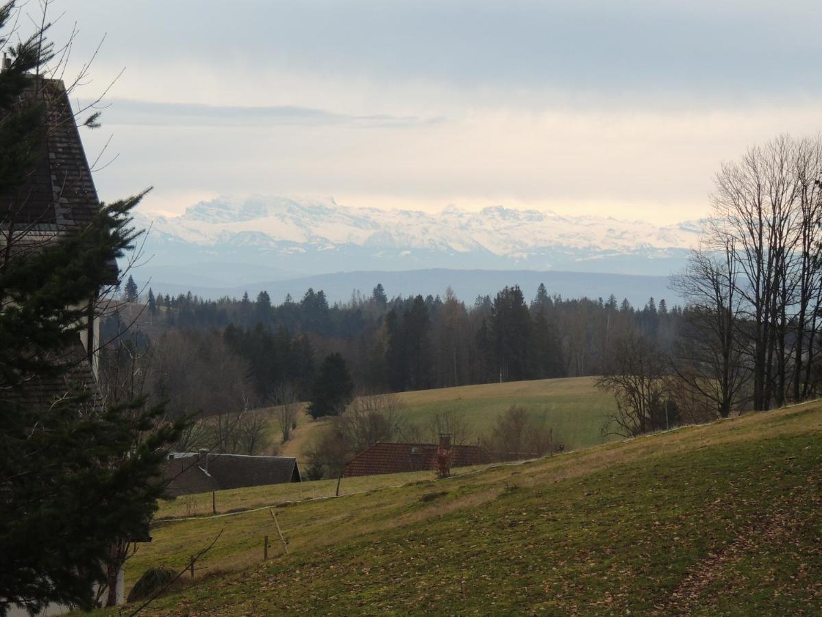 Haus Ingeborg Dachsberg im Schwarzwald Exterior foto