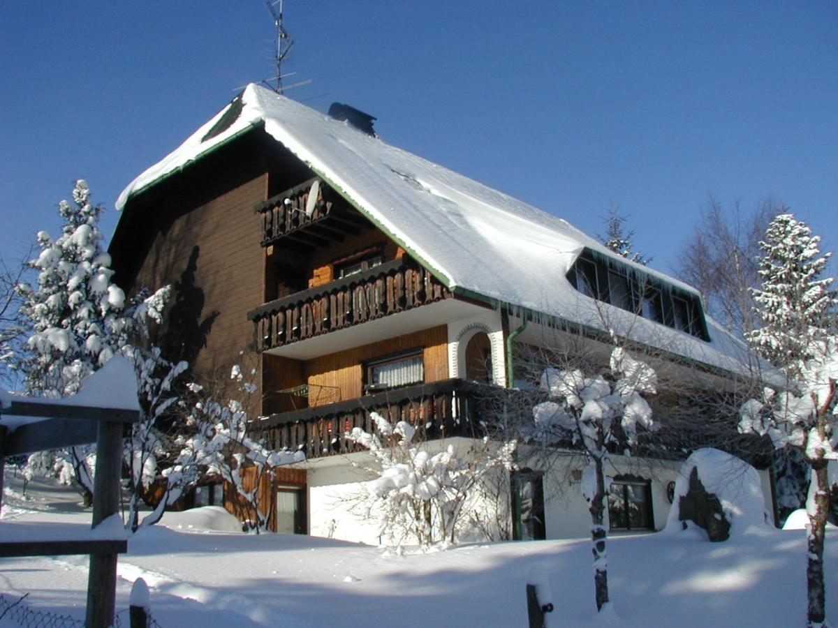 Haus Ingeborg Dachsberg im Schwarzwald Exterior foto