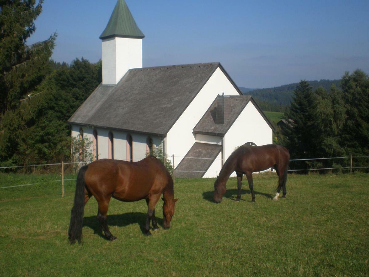 Haus Ingeborg Dachsberg im Schwarzwald Exterior foto