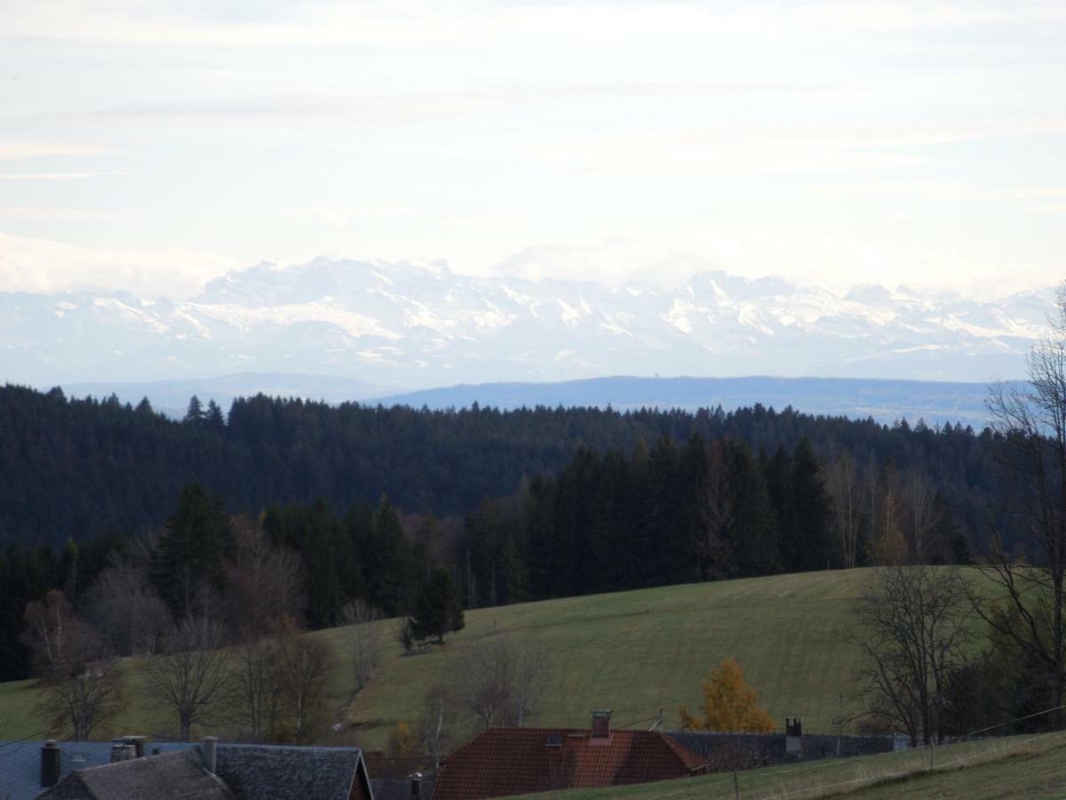 Haus Ingeborg Dachsberg im Schwarzwald Exterior foto