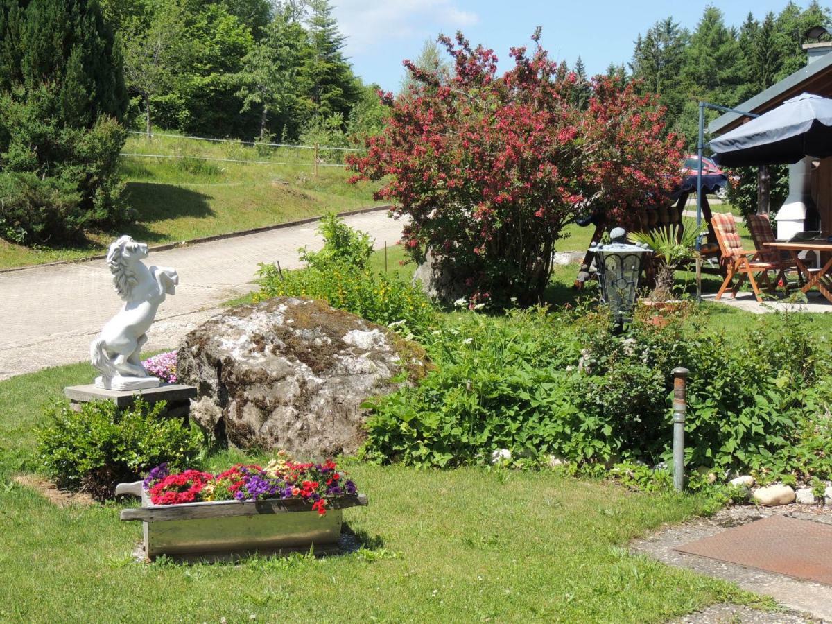 Haus Ingeborg Dachsberg im Schwarzwald Exterior foto